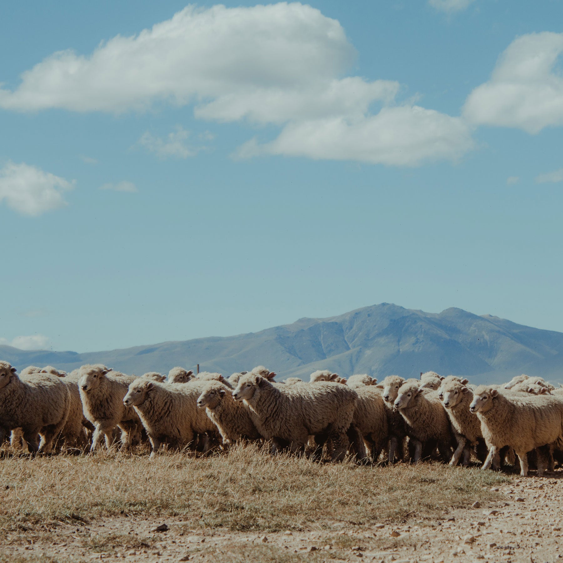 Visit the Hakataramea – a beautiful, wild district – The Clip